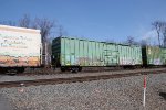 IBT 19558